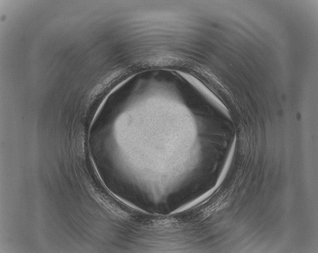 X0000072530446200608041601