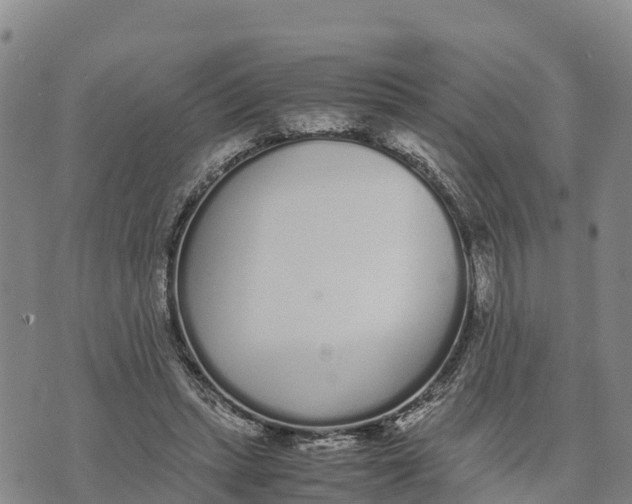 X0000072530447200608041601