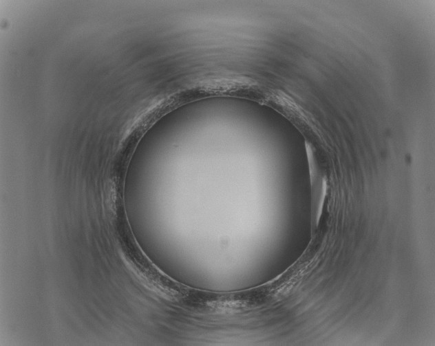 X0000072530448200608041601