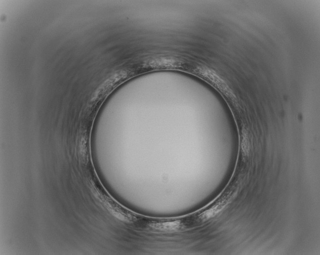 X0000072530449200608041601