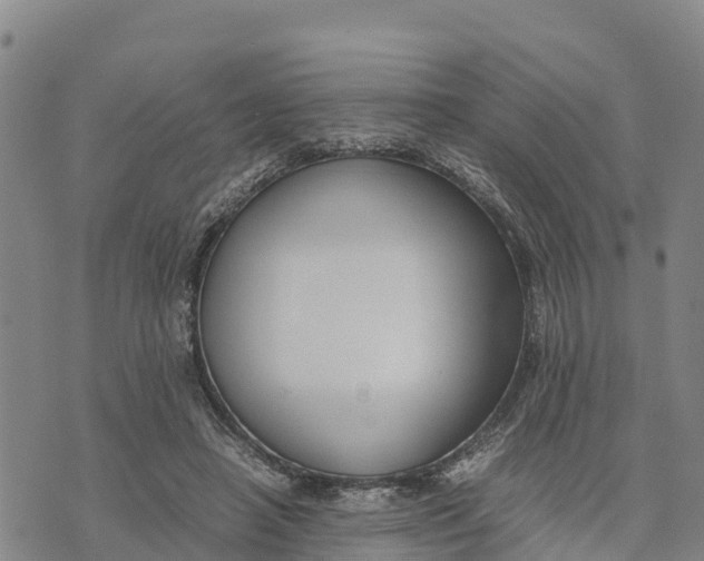 X0000072530450200608041601