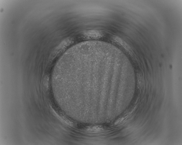 X0000072530451200608041601