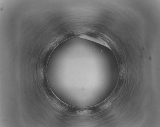 X0000072530452200608041601