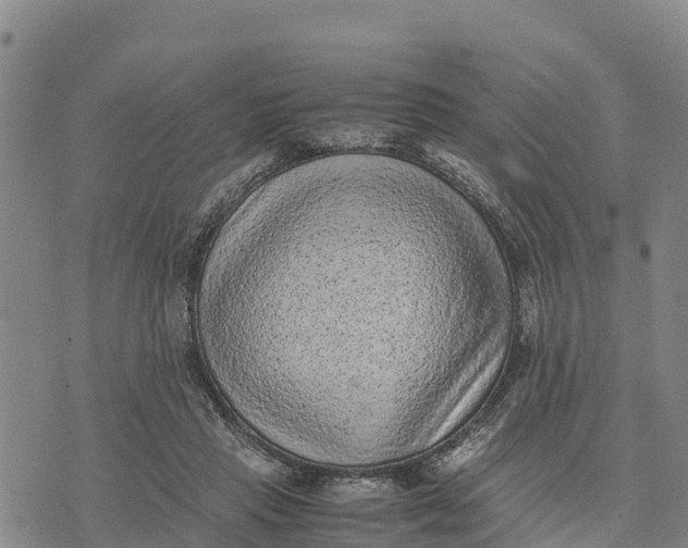 X0000072530453200608041601