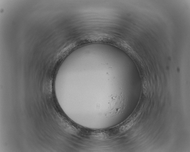 X0000072530454200608041601