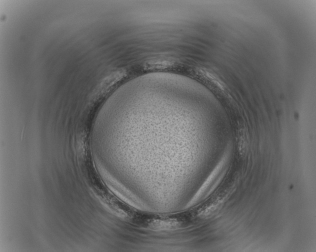 X0000072530455200608041601