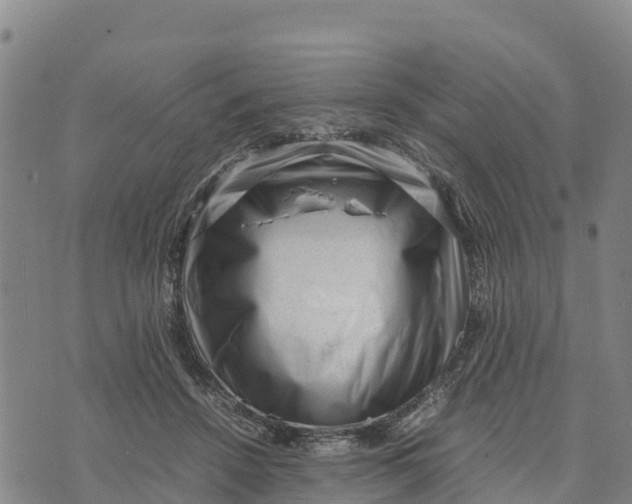 X0000072530456200608041601