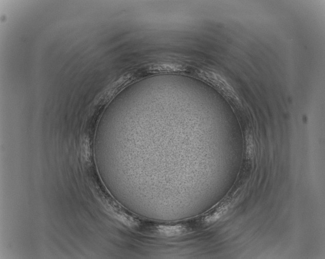 X0000072530457200608041601