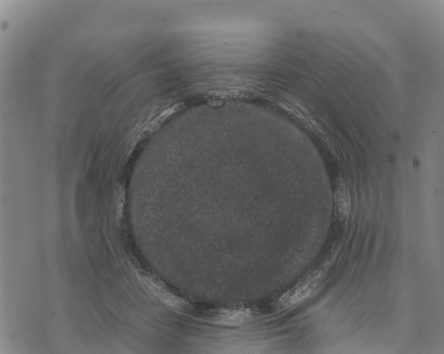 X0000072530458200608041601