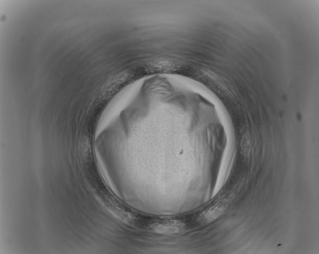 X0000072530459200608041601