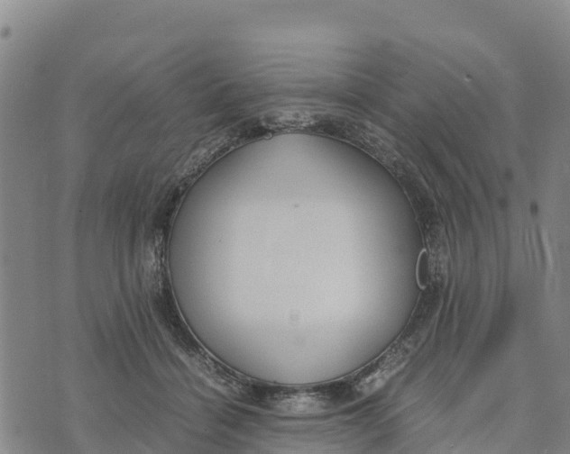 X0000072530460200608041601