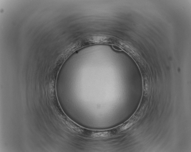 X0000072530461200608041601