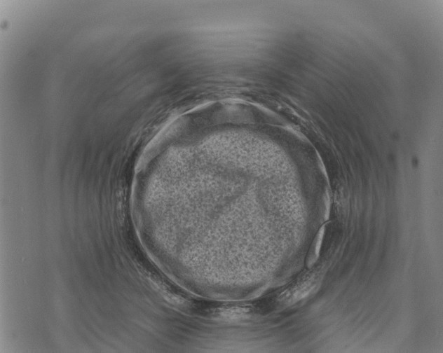 X0000072530462200608041601