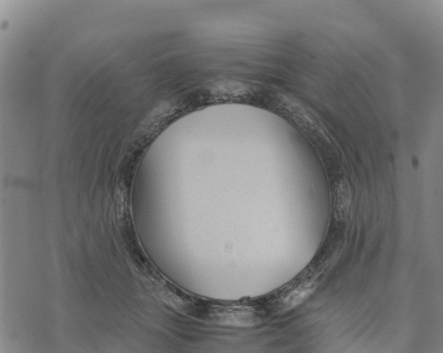 X0000072530463200608041601