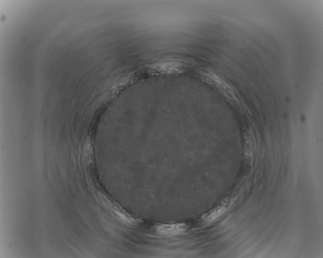 X0000072530465200608041601