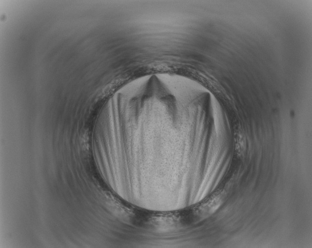 X0000072530466200608041601