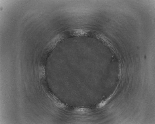 X0000072530467200608041601