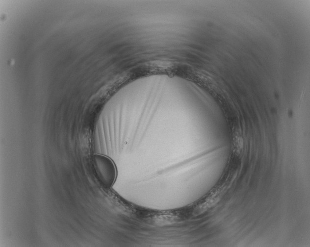 X0000072530468200608041601