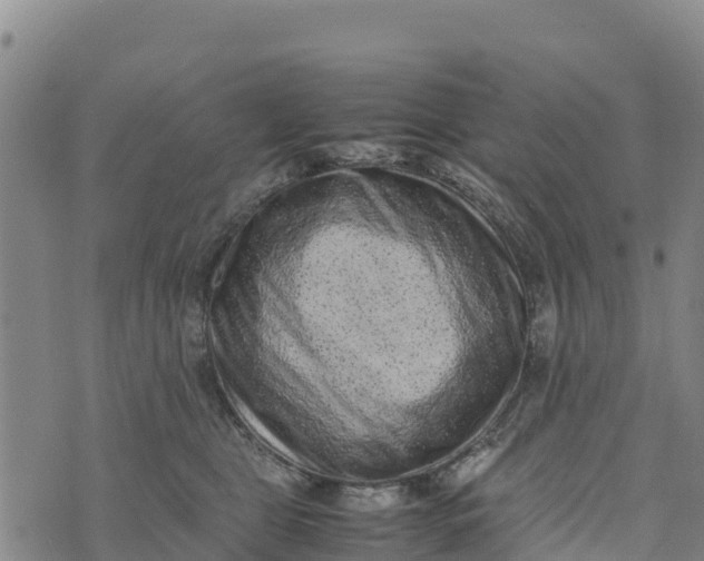 X0000072530469200608041601