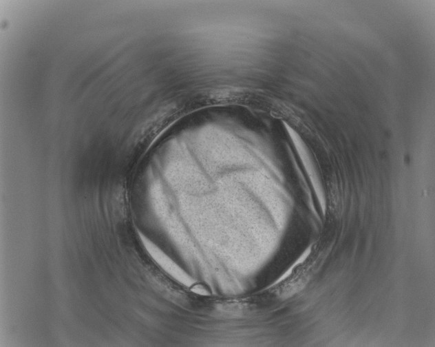 X0000072530470200608041601