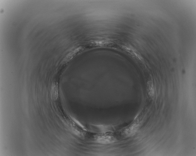 X0000072530471200608041601