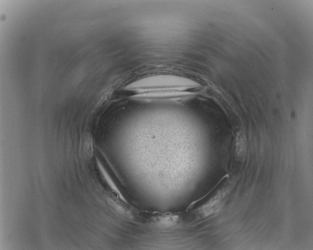 X0000072530474200608041602