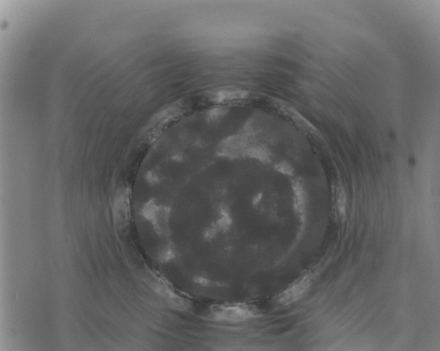 X0000072530475200608041602