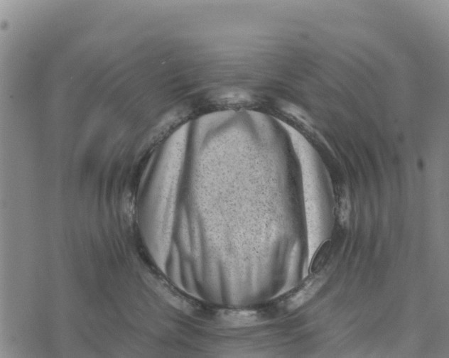 X0000072530476200608041602