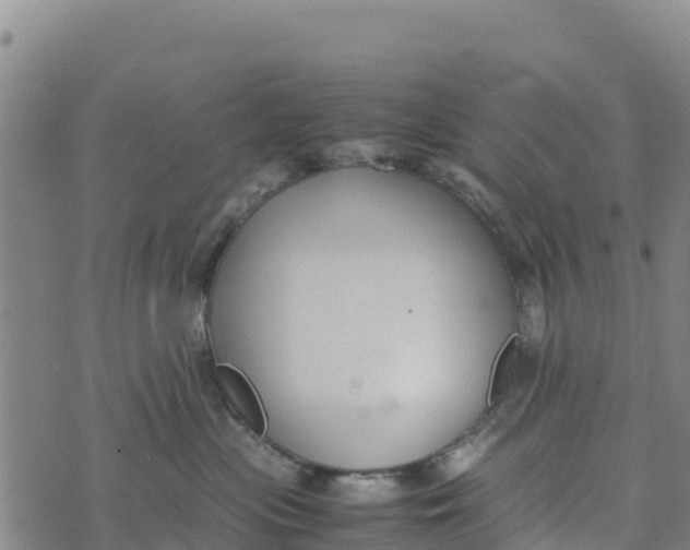 X0000072530477200608041602