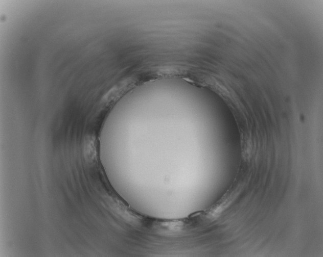 X0000072530478200608041602