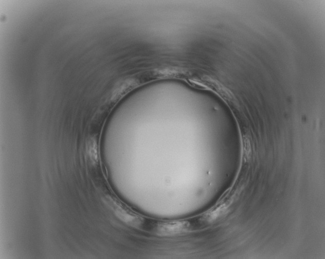 X0000072530479200608041602