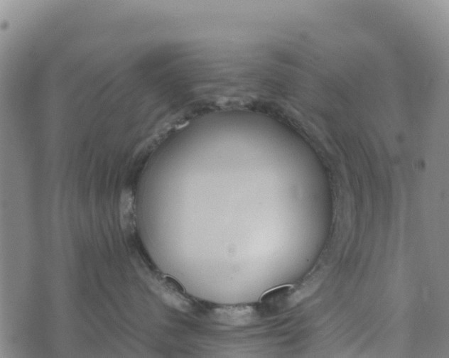 X0000072530480200608041602