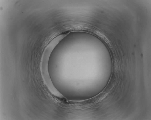 X0000072530481200608041601