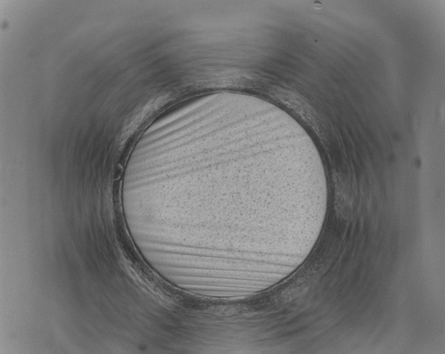 X0000072530482200608041601