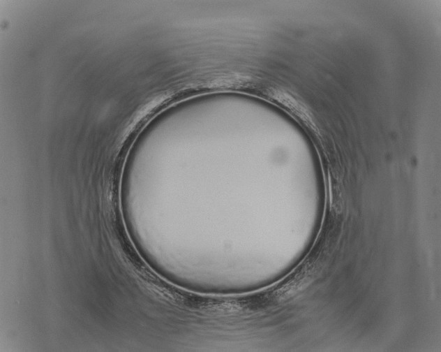 X0000072530483200608041601