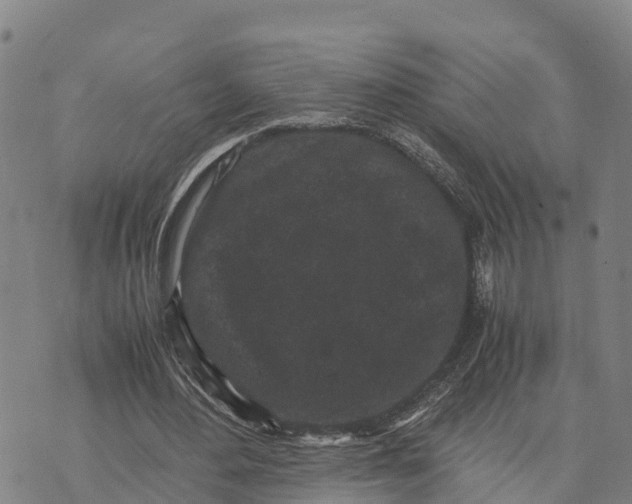 X0000072530484200608041601