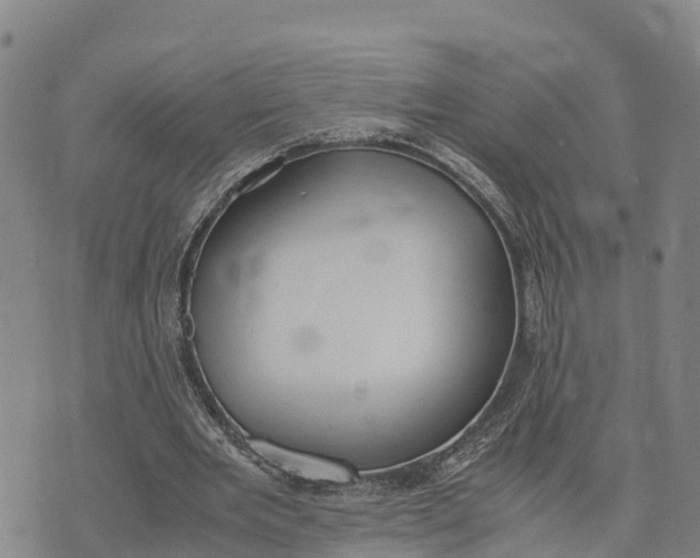 X0000072530485200608041601