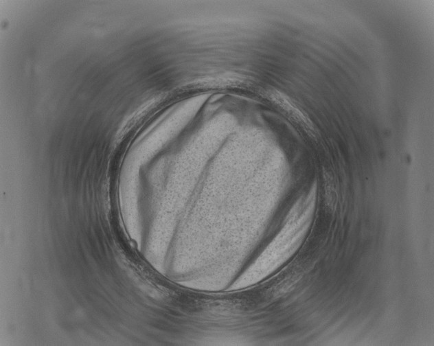 X0000072530486200608041601