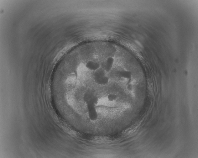 X0000072530487200608041601