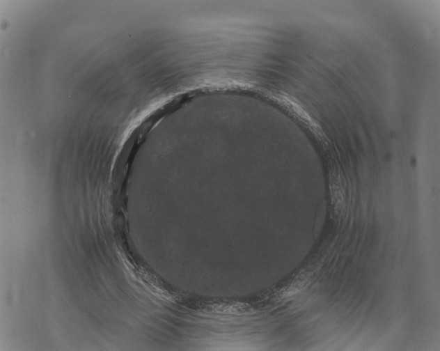 X0000072530488200608041601