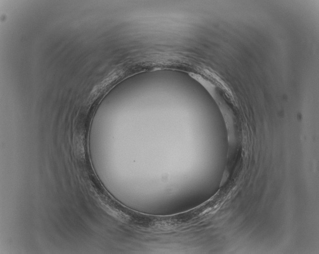 X0000072530489200608041601