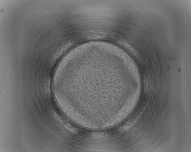 X0000072530490200608041601