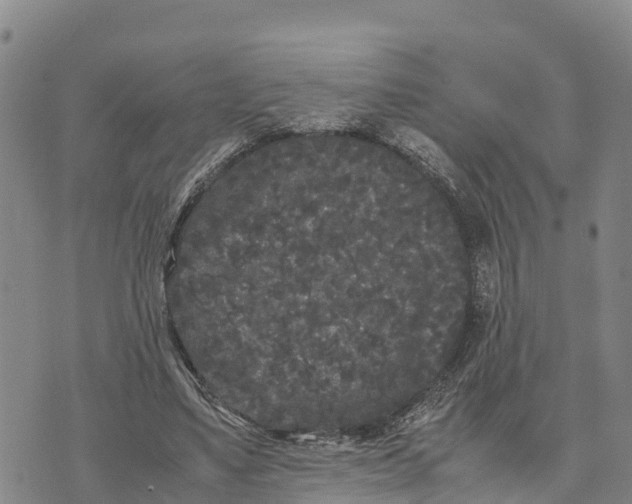 X0000072530491200608041601