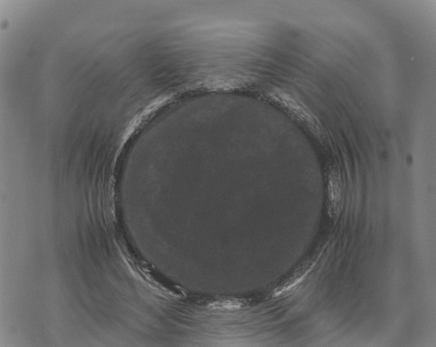 X0000072530492200608041601