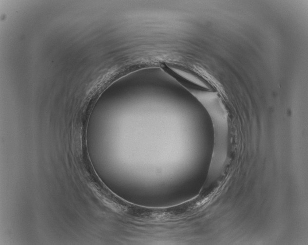 X0000072530493200608041601