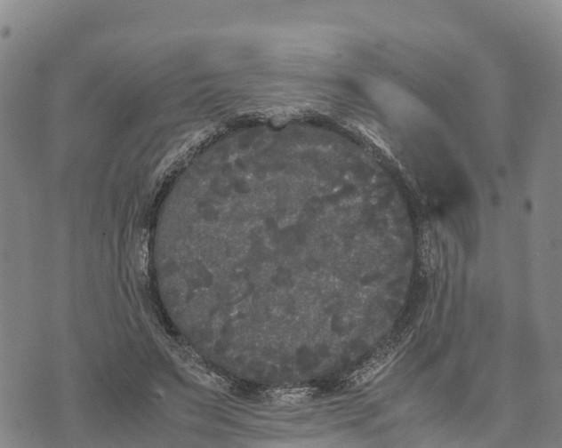 X0000072530495200608041601