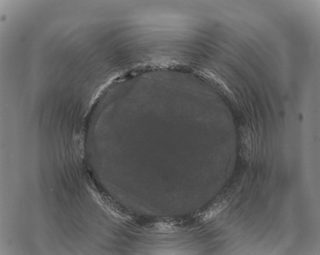 X0000072530496200608041601