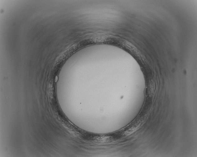 X0000072530497200608041601