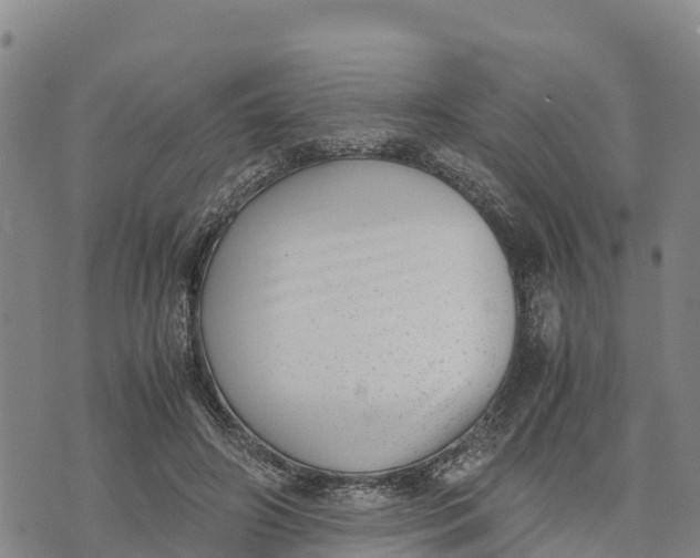 X0000072530498200608041601