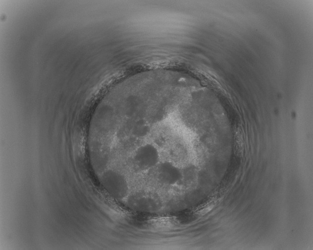 X0000072530499200608041601